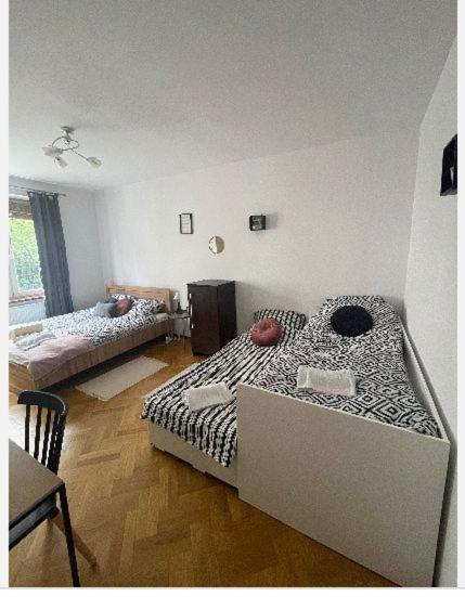 Cheerful 3 Bedroom City House كراكوفيا المظهر الخارجي الصورة